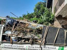 Best Electronics and E-Waste Disposal  in Clare, MI